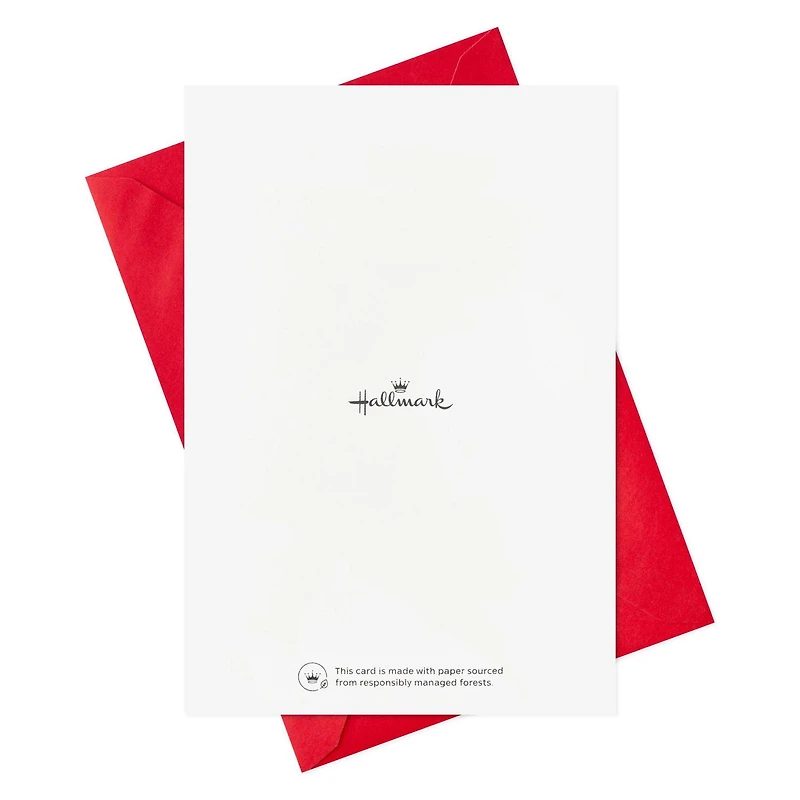 Assortiment de cartes Hallmark de Noël dans une boîte, motifs mignons (6 motifs, 36 cartes et enveloppes)
