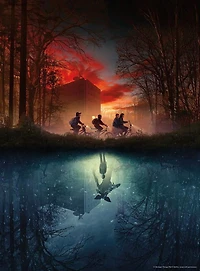 Buffalo Games Missing Friend 1000-Piece Interlocking Jigsaw Puzzle for Adults Ages 14-99 Years