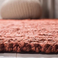 Safavieh Natural Fiber Levi Braided Area Rug