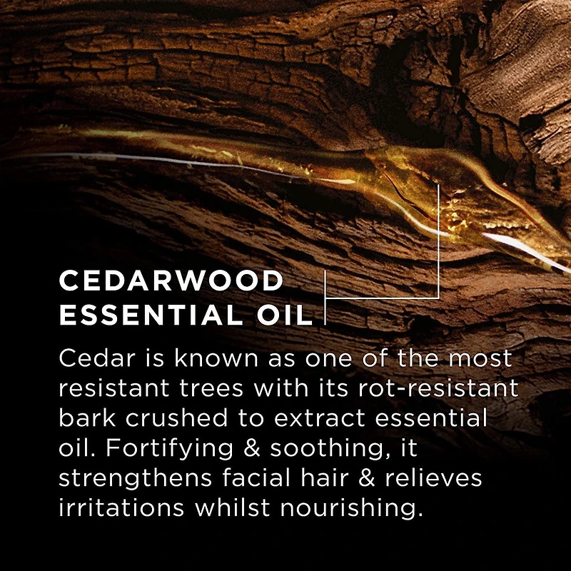 L'Oreal Paris Men Expert 4 en 1 shampooing douche solide, PH doux, 80 g