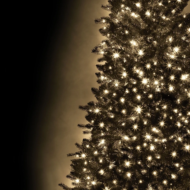 Danson Décor 250 M5 Guirlandes Lumineuses à DEL, Blanc Chaud 250CT M5 DEL BLANC CHAUD