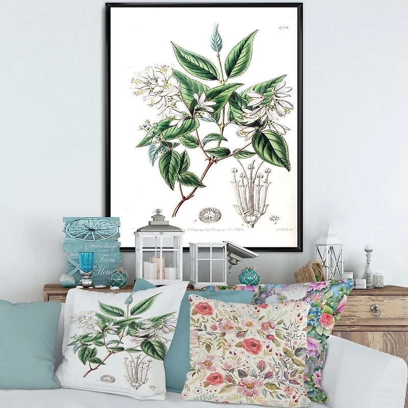 Designart Vintage Botanicals X FLOAT FRAME WALL ART