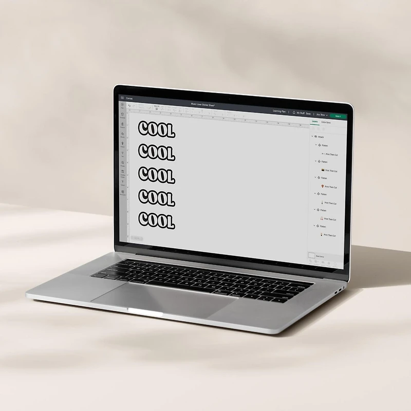 Cricut® Printable Vinyl - US Letter (12 ct), Transparent