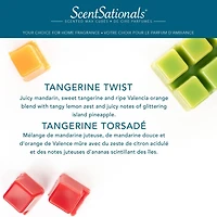 ScentSationals Scented Wax Cubes Value Pack - Tangerine Twist, 5.0 oz (141.8g)