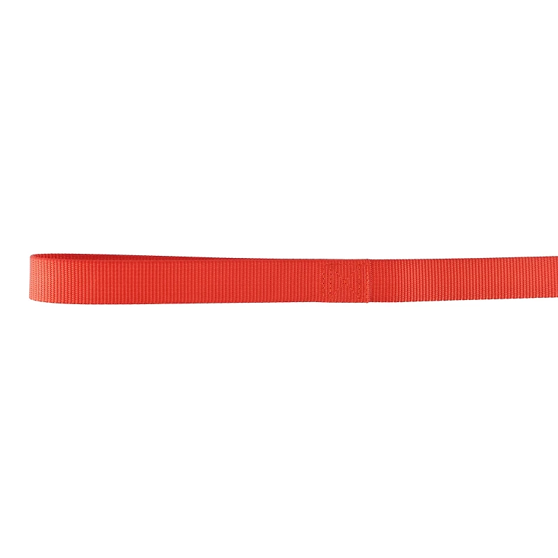 Pet Attire By Coastal Laisse pour chien à pli unique Moyen, Rouge, 5/8" x 06'