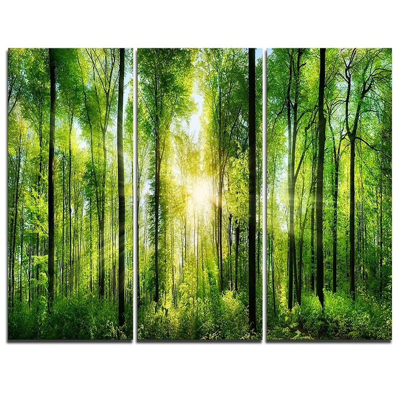 Tableau à toile imprimée Design Art Paysage Panorama Forêt avec rayons de soleil
