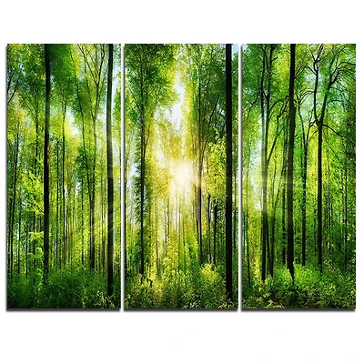 Tableau à toile imprimée Design Art Paysage Panorama Forêt avec rayons de soleil