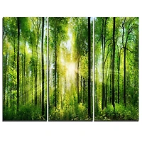 Tableau à toile imprimée Design Art Paysage Panorama Forêt avec rayons de soleil