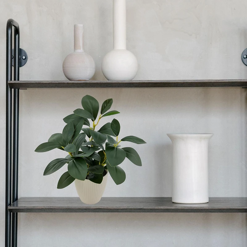 Plante artificielle d'intérieur en pot Mainstays de 27.9cm, Peperomia verte. Baby rubberplant en pot