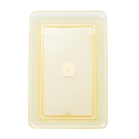 Façon de célébrer! Plateau en plastique d'été plateau en plastique