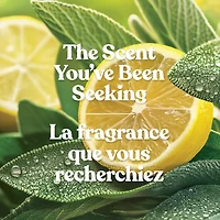 Bougie parfumée Yankee Candle, format original grande jarre 1 mèche
