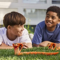 Robo Alive King Cobra by ZURU, Battery-Powered Robotic Moving Snake Toy, Realistic Snake Features, Ages 3+
