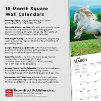 Horse Lovers | 2023 12x24 Inch Square Wall Calendar