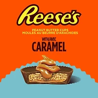 25ct Reese's Peanut Butter Cups with Caramel Snack Size 389g, 24pk, 25ct Reese's PBC with Caramel
