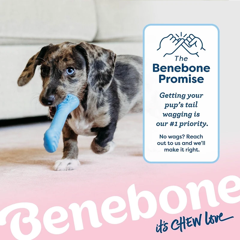 Benebone Essentials Puppy, Rubber and Bacon Wishbone, 2pk, Benebone Essentls Puppy, 2pk