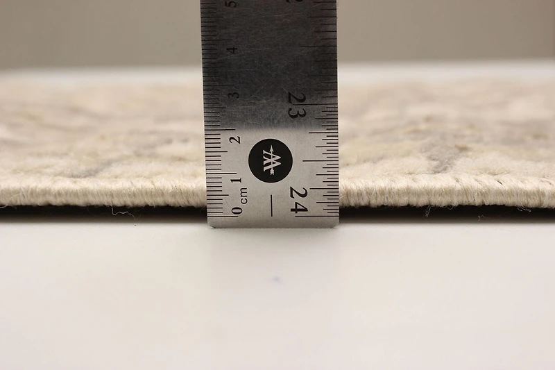 ECARPET Priya Traditional Area Rug for living room, bedroom, dining room, entrance, hallway and more.