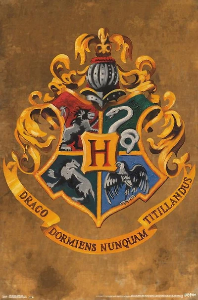 HARRY POTTER14428 - FRENCH