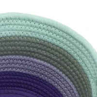 Way To Celebrate Rope Basket Blue