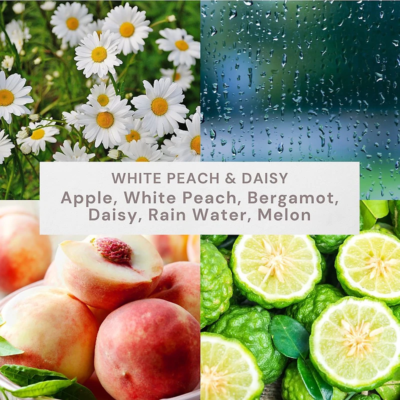 Better Homes & Gardens Scented 2-wick 12 oz. Parrafin Wax Ombre Jar Candle, White Peach & Daisy, Parrafin Wax Blend