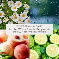 Better Homes & Gardens Scented 2-wick 12 oz. Parrafin Wax Ombre Jar Candle, White Peach & Daisy, Parrafin Wax Blend