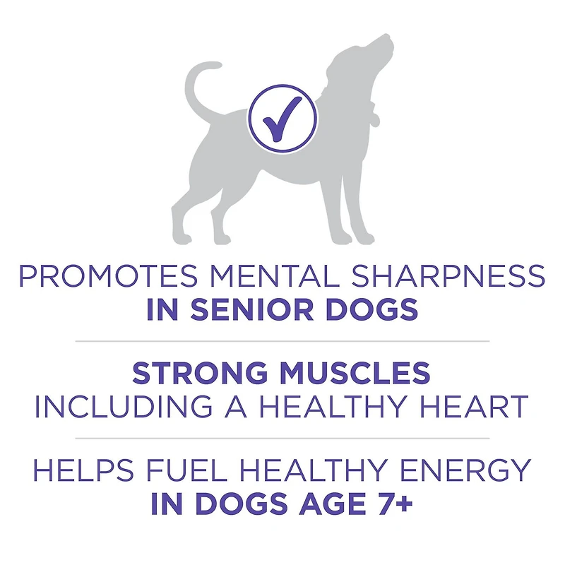 Purina ONE SmartBlend Vieillir en Santé 7+ Poulet, Nourriture Sèche pour Chiens