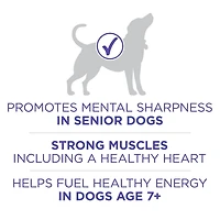 Purina ONE SmartBlend Vieillir en Santé 7+ Poulet, Nourriture Sèche pour Chiens