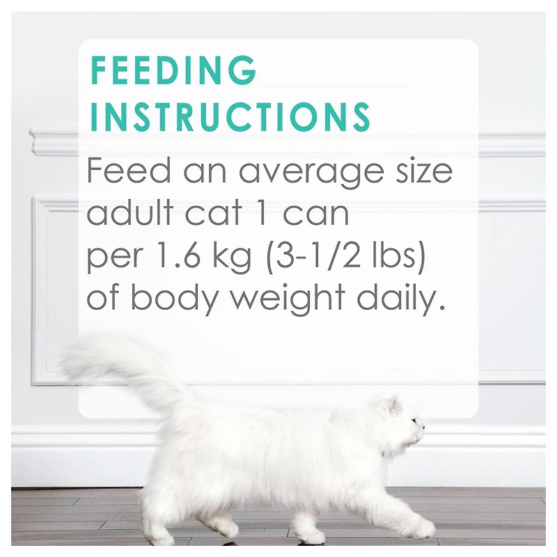 Fancy Feast Gourmet Variety Pack, Wet Cat Food 12 X 85g, 85 g x 12