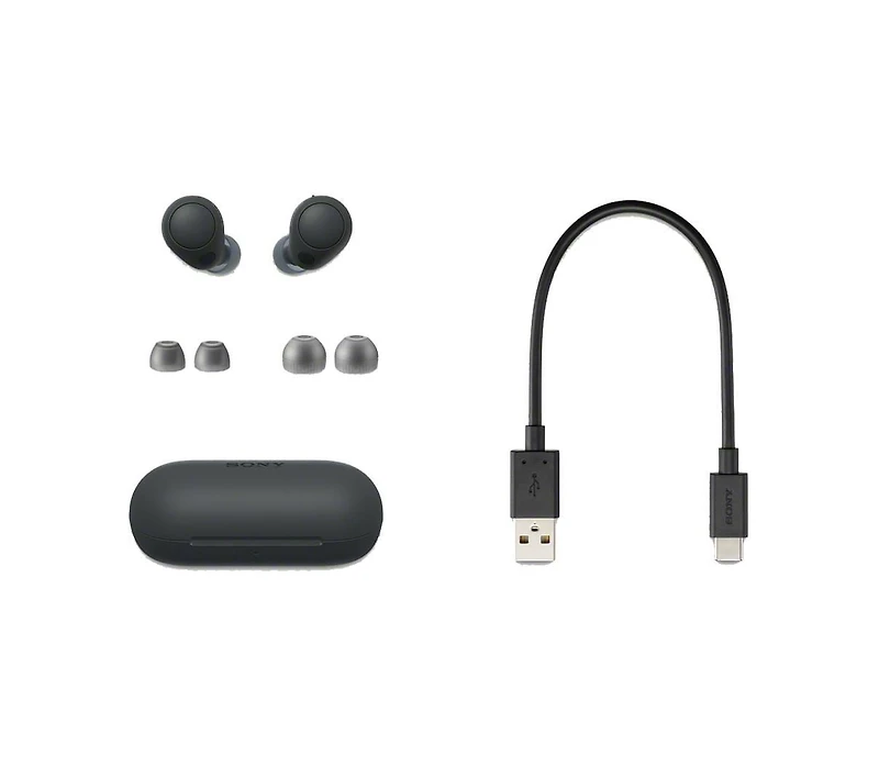 Le casque intra-auriculaire sans fil WF-C700N Noir