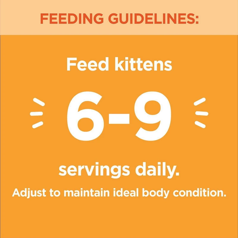 Iams Perfect Portions Grain Free Chicken Cuts in Gravy Healthy Kitten Wet Cat Food, 75g