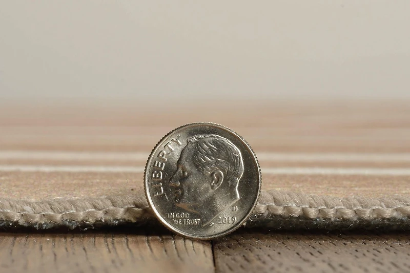 Outdoor Washable Weston Tan & Ivory 7' x 9' Area Rug