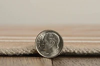 Outdoor Washable Weston Tan & Ivory 7' x 9' Area Rug