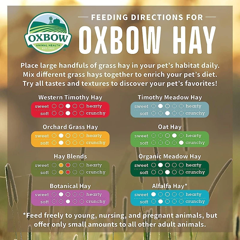 Nourriture pour petits animaux OxBow Herbe du verger