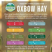 Nourriture pour petits animaux OxBow Herbe du verger