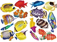 Cra-Z-Art 16 énigmes en forme de poisson de récif, 500pcs