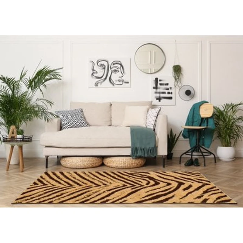 5X7 MOROCCAN SAHARA - FRENCH