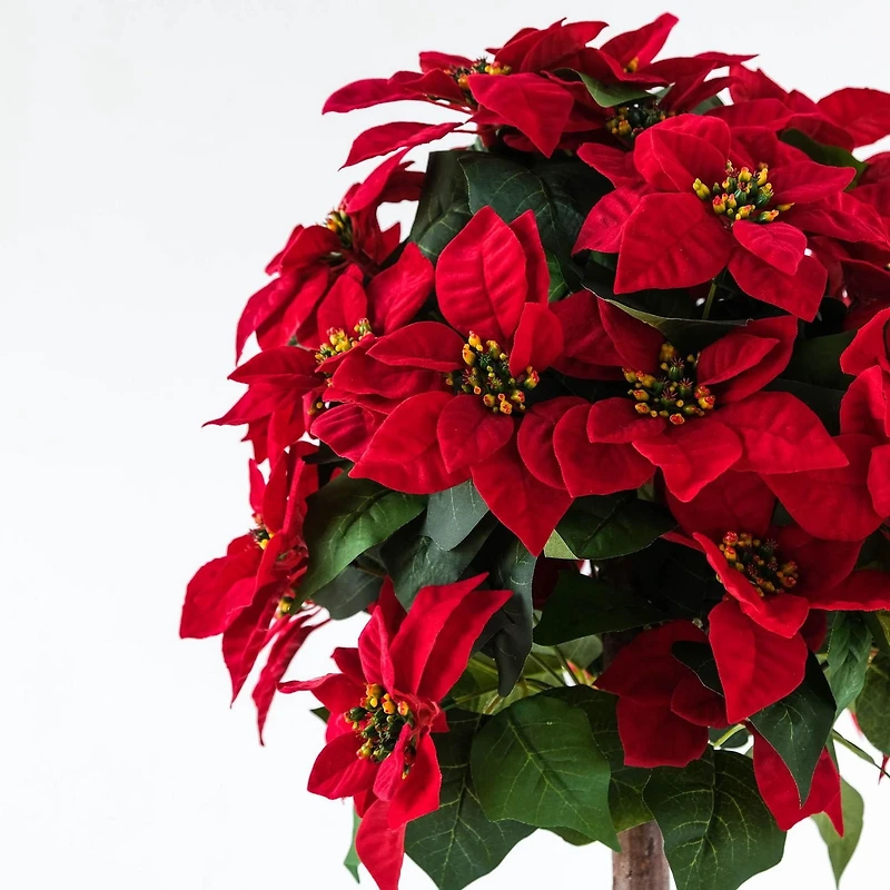 Poinsettia Tree, 47"H