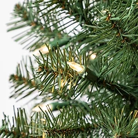 Holiday Time Arbre de Noël artificiel Épinette Complet Régulier Noble Pré-Éclairé de 24 po (60,96 cm) - Vert 72 pointes de branches