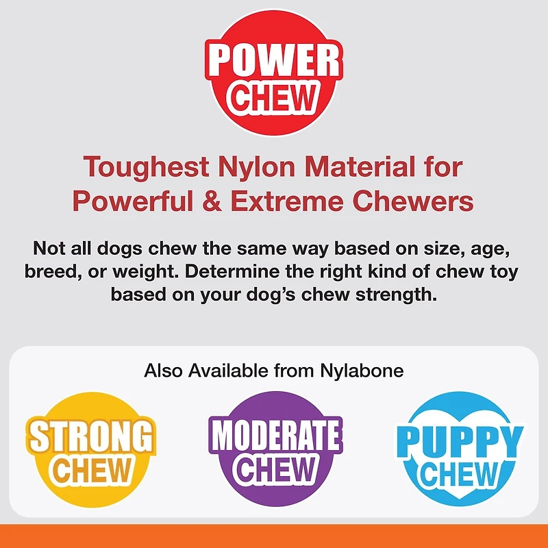 Nylabone Power Chew Bison Bone Alternative Chew Toy Bison Flavor Large