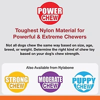Nylabone Power Chew Bison Bone Alternative Chew Toy Bison Flavor Large