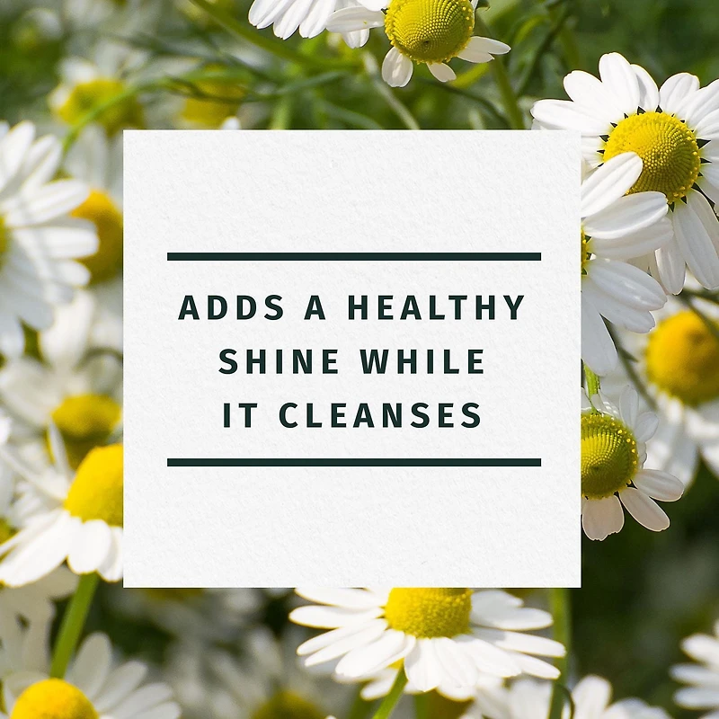 Shampooing Herbal Essences Brillance, camomille 400 ml