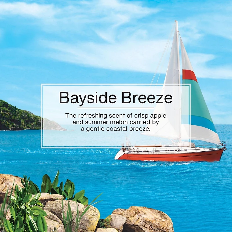 Assainisseur d'air LITTLE TREES Bayside Breeze 3-Pack Paq. de 3