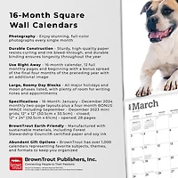 BrownTrout Bouledogues américains 2024 Mur Carré 30.48x60.96 CM, 9781975470623