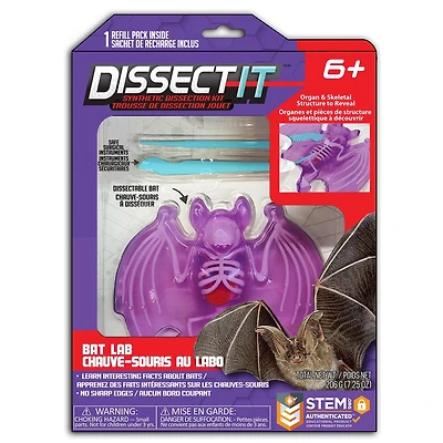 Chauve-souris au labo Dissect-It Chauve-souris au labo