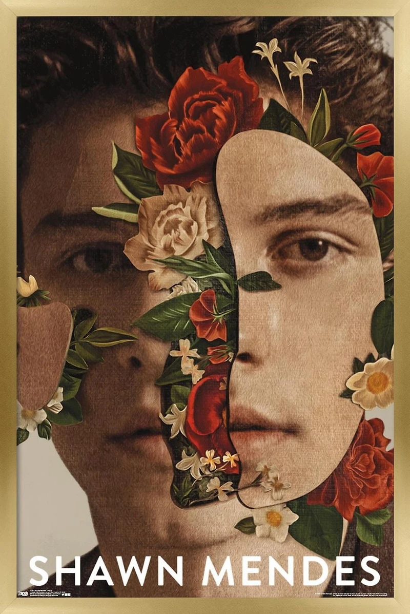 Shawn Mendes - Floral Wall Poster, 22.375" x 34"