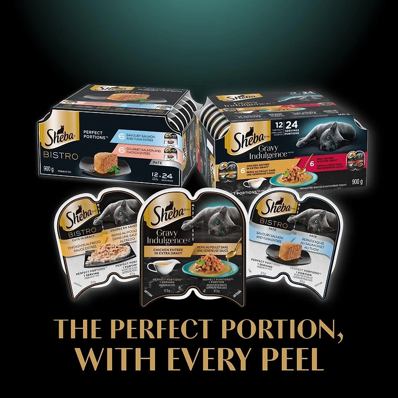 SHEBA GRAVY INDULGENCE PERFECT PORTIONS Adult Wet Cat Food Beef Entrée in Extra Gravy, 75g