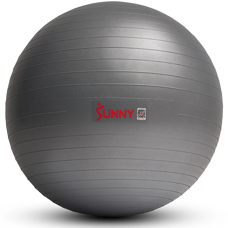 Balle de yoga premium Sunny Health & Fitness de 65 cm, anti-burst et extra épaisse. Idéale pour l’entraînement, la grossesse, la kinésithérapie et la stabilité sur chaise. Inclut une pompe