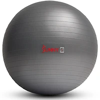 Balle de yoga premium Sunny Health & Fitness de 65 cm, anti-burst et extra épaisse. Idéale pour l’entraînement, la grossesse, la kinésithérapie et la stabilité sur chaise. Inclut une pompe