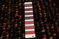 Tapis ECARPETGALLERY Sienna Brun 5'4" x 7'6"