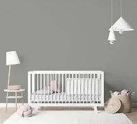 Rust-Oleum Colour Spark™ Peinture + Apprêt, Intérieur Coquille d'oeuf, Échelle De Gris 3,78L 3,78L