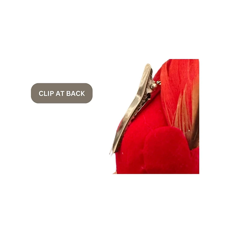 Cardinal Oiseau Rouge - Lot De 12